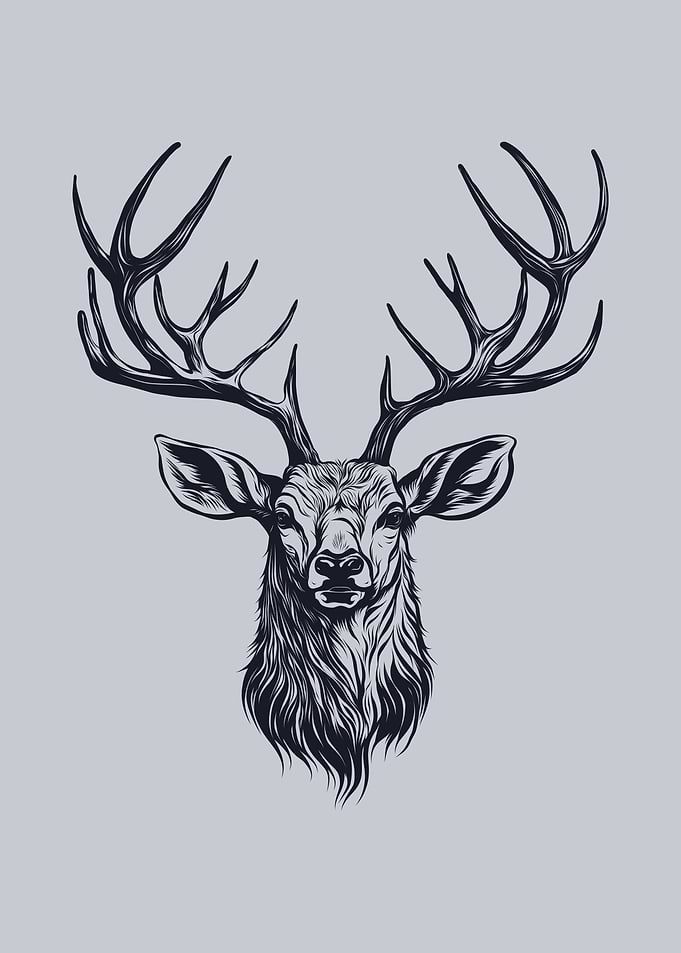 Stag