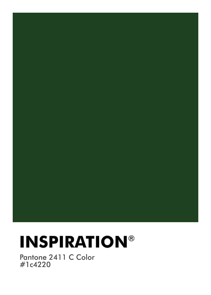 PANTONE INSPIRATION