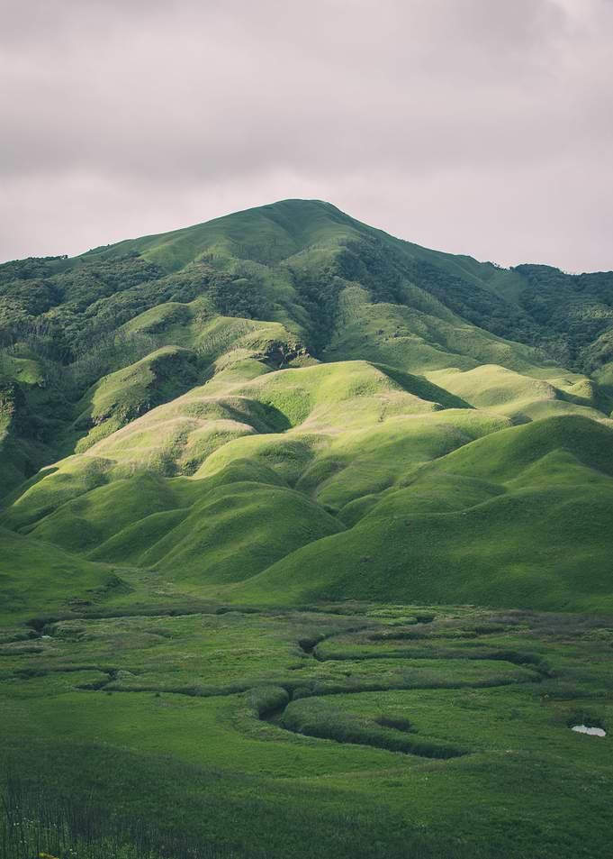 Nature