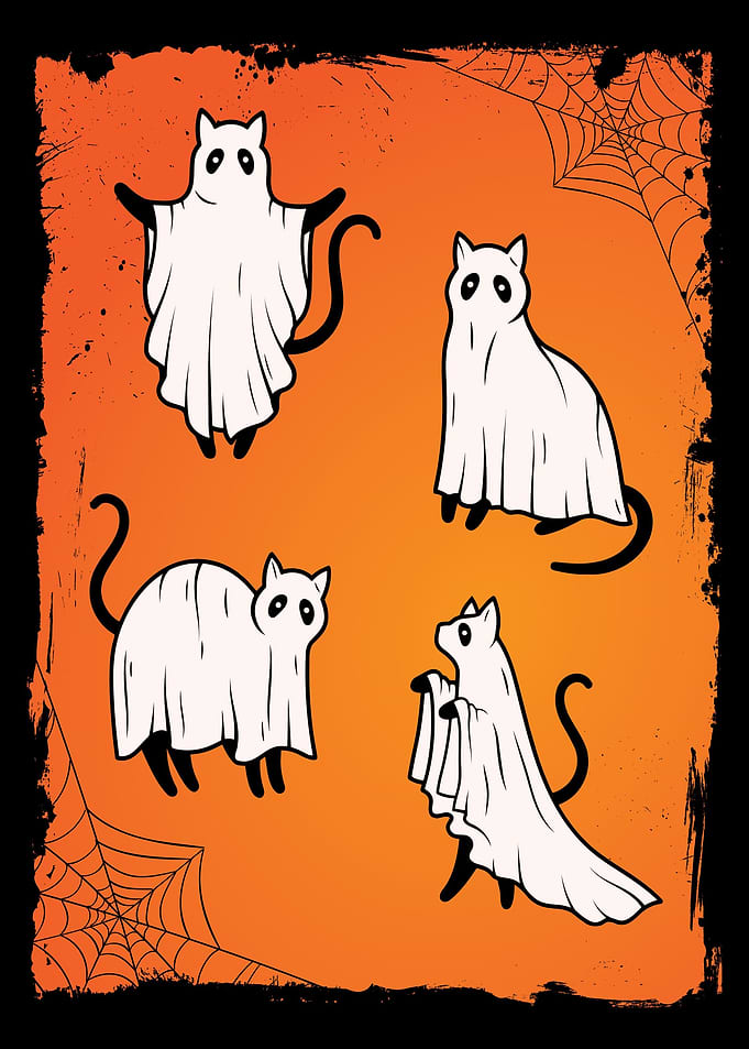 Black Cat Ghost Halloween