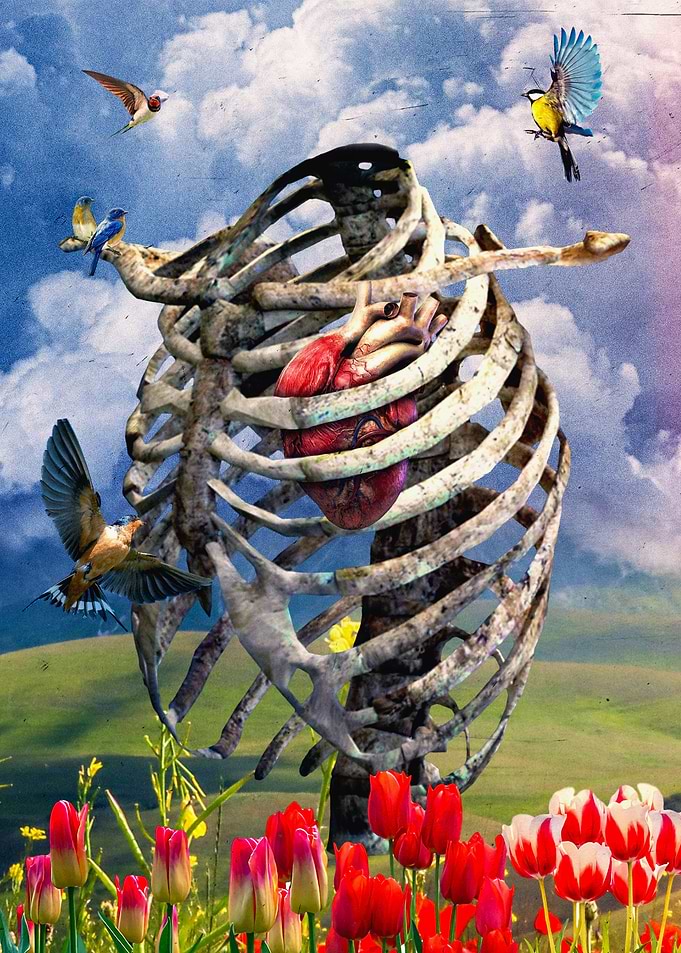 Birds Blossoms