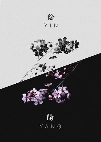 Yin yang Sakura Japanese