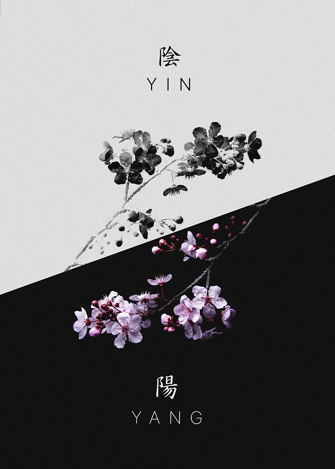 Yin yang Sakura Japanese