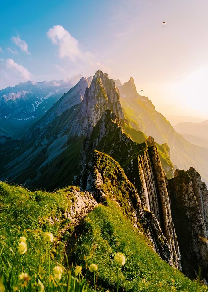 Nature