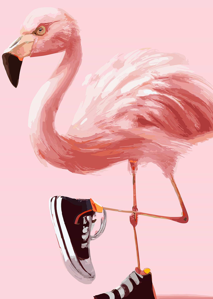 Falmingo Wearing Sneaker