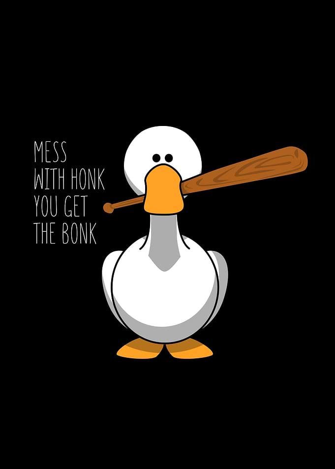 Funny Duck