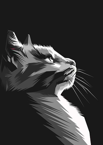 Abstract black cat