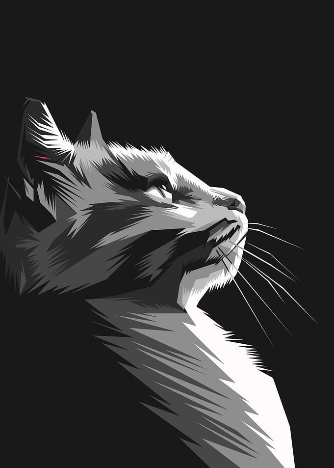 Abstract black cat