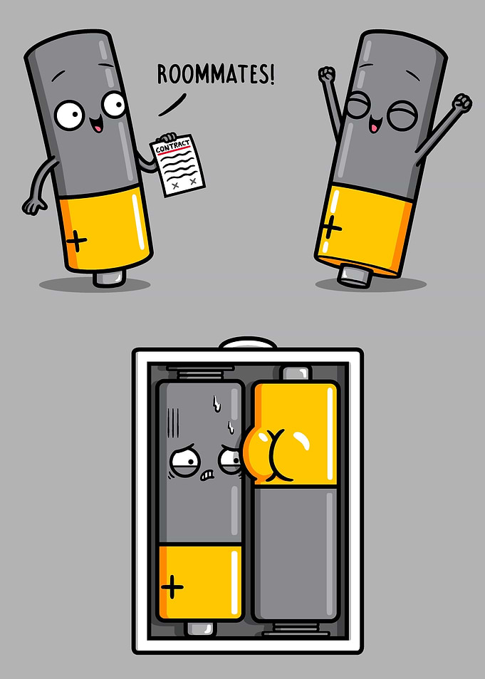 Roommates