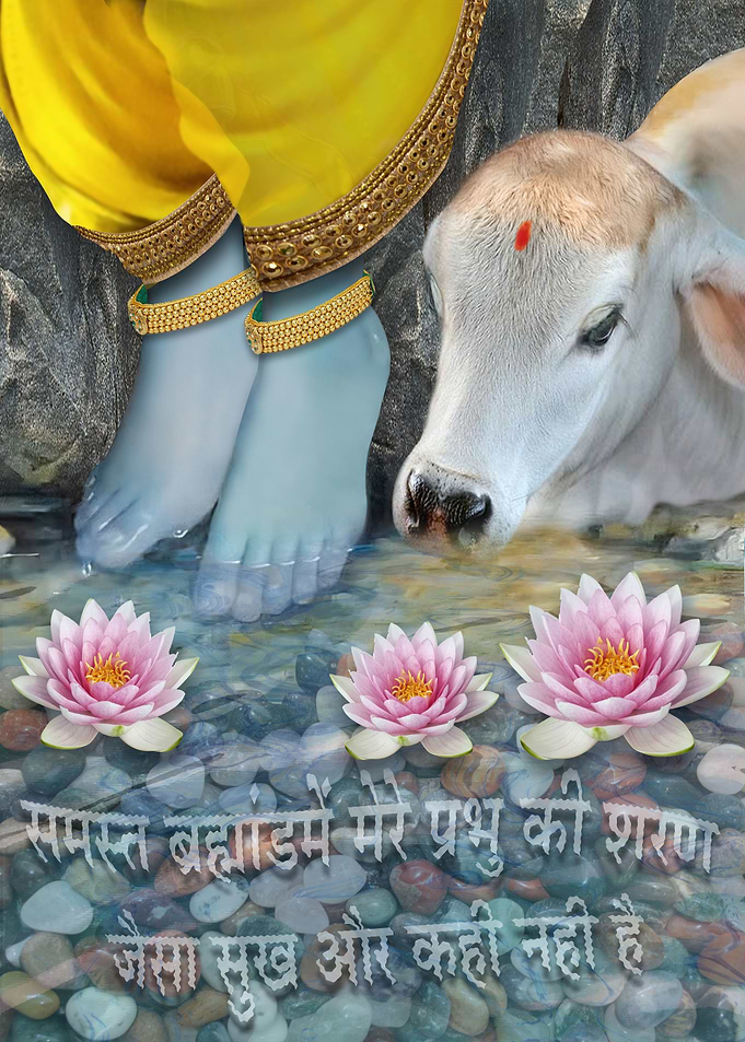 Krishna Feet