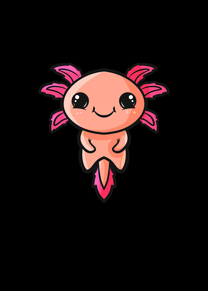 Axolotl Cute Axolotls