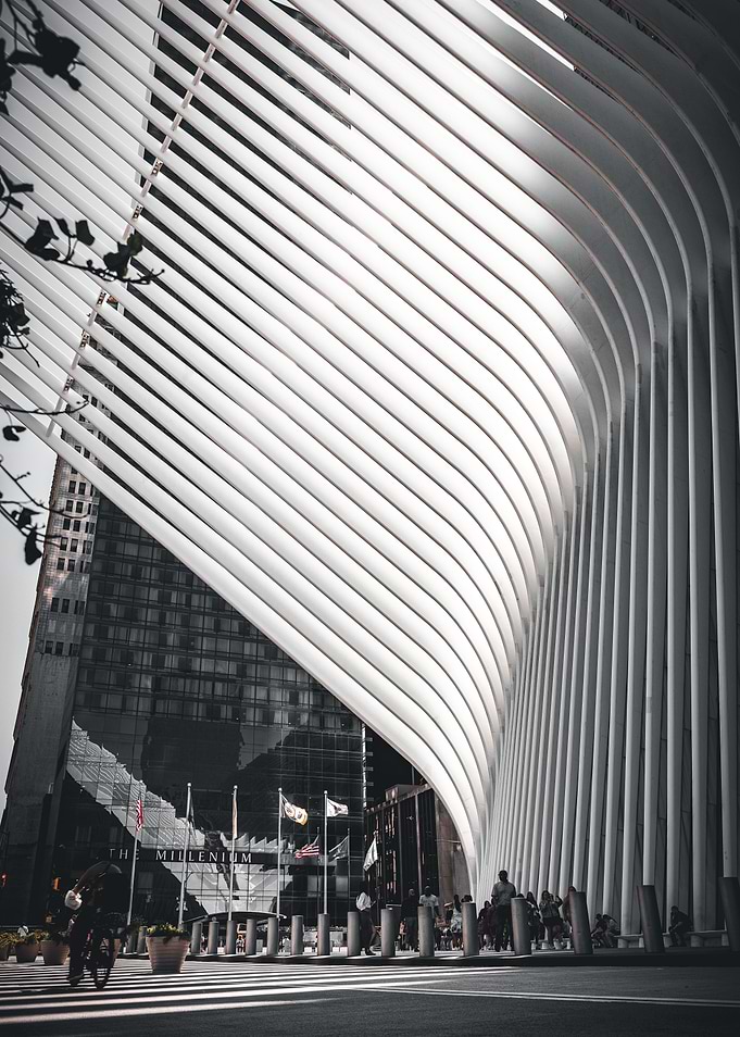 The Oculus