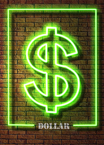 NEON DOLLAR SIGN
