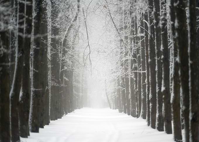 Path into unknown