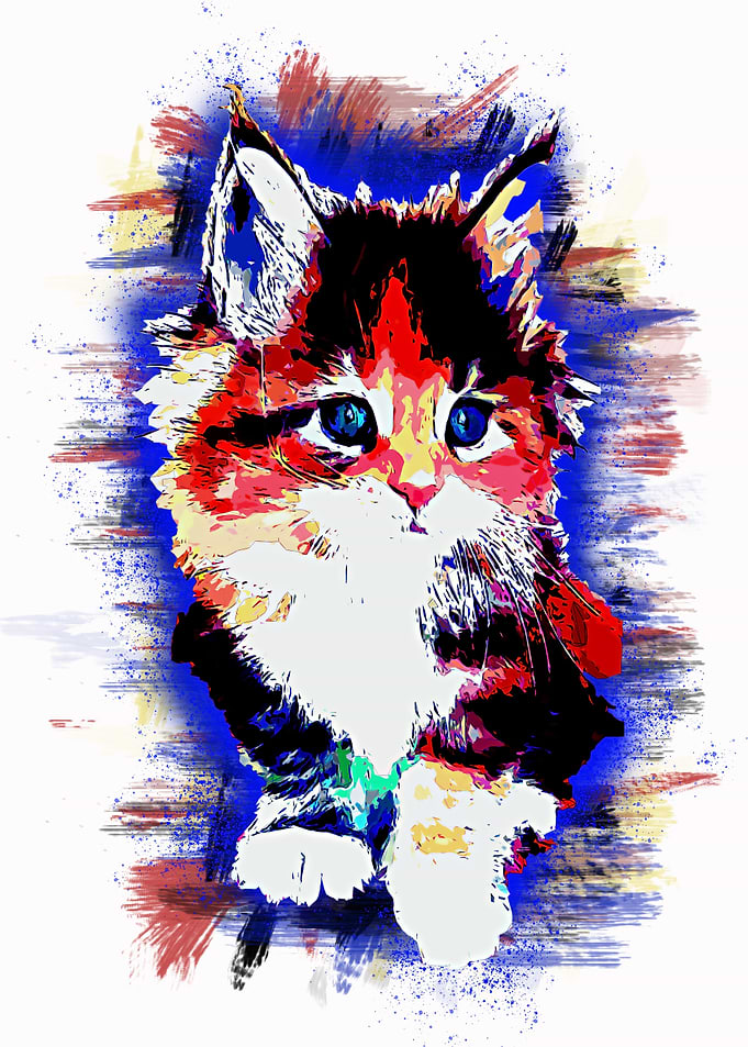 Animal Cat