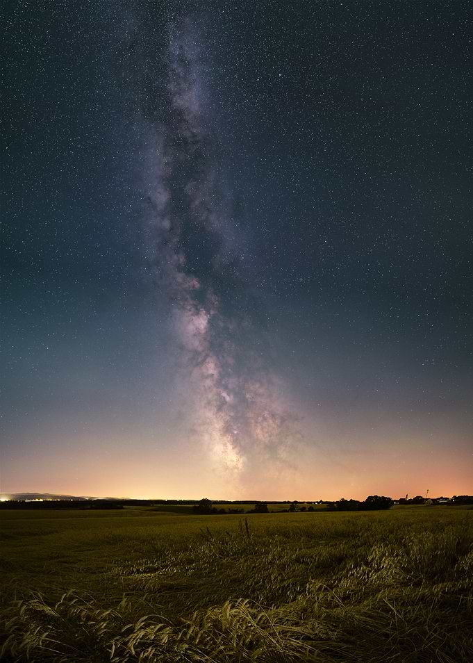 Milky way over wheat field