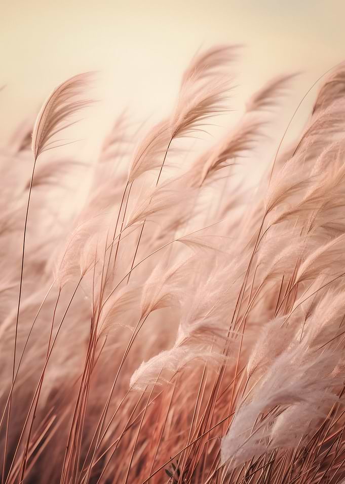 Fluffy Grass