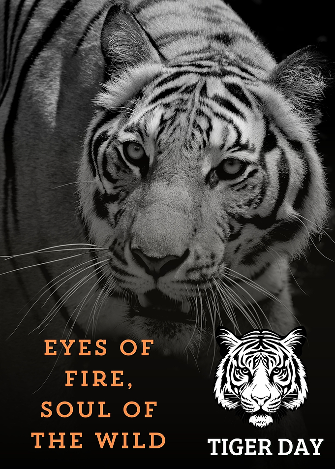 EYES OF FIRE