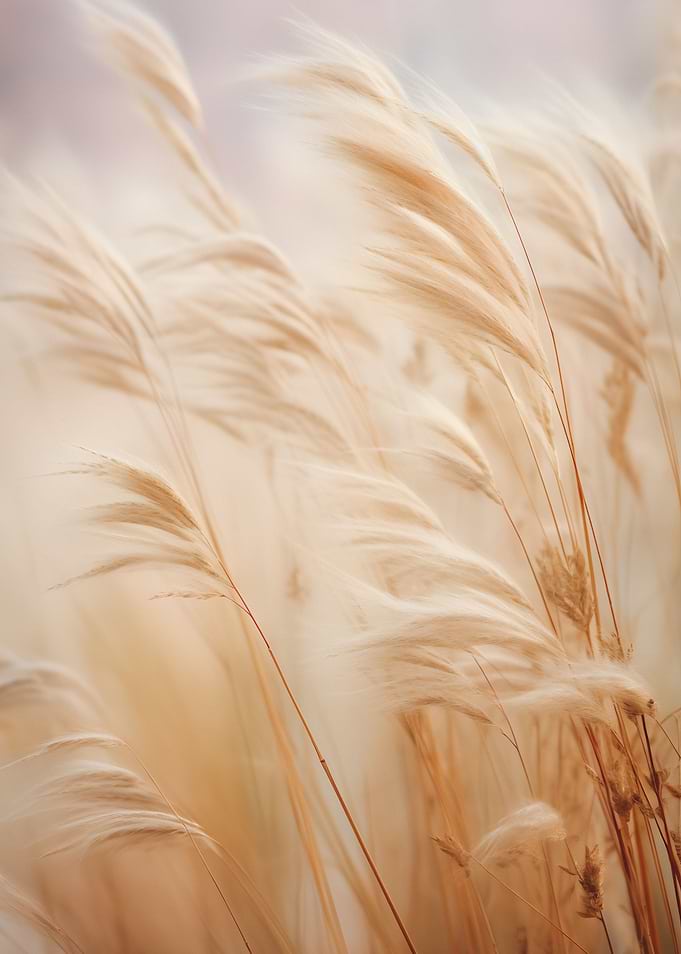 Reed Wave
