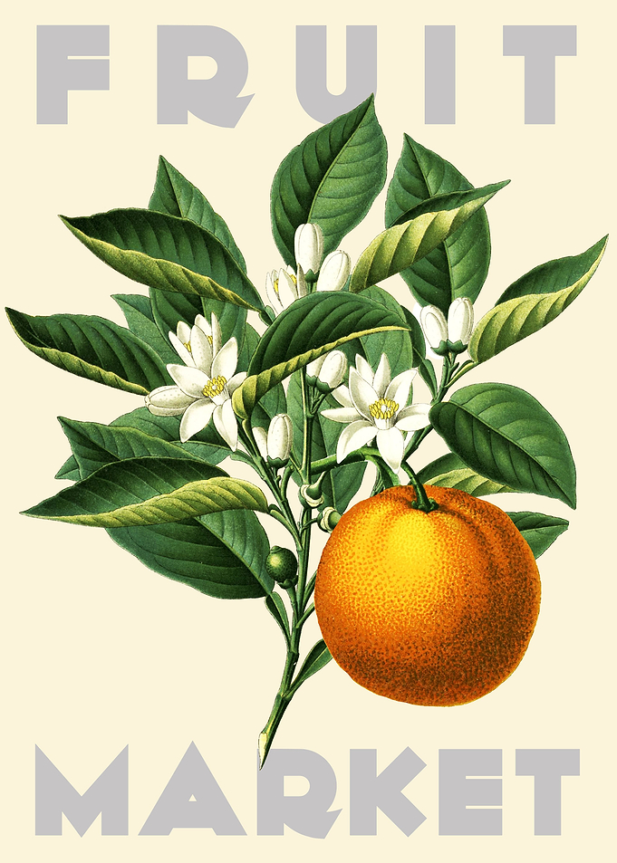 Orange Fruit Market
