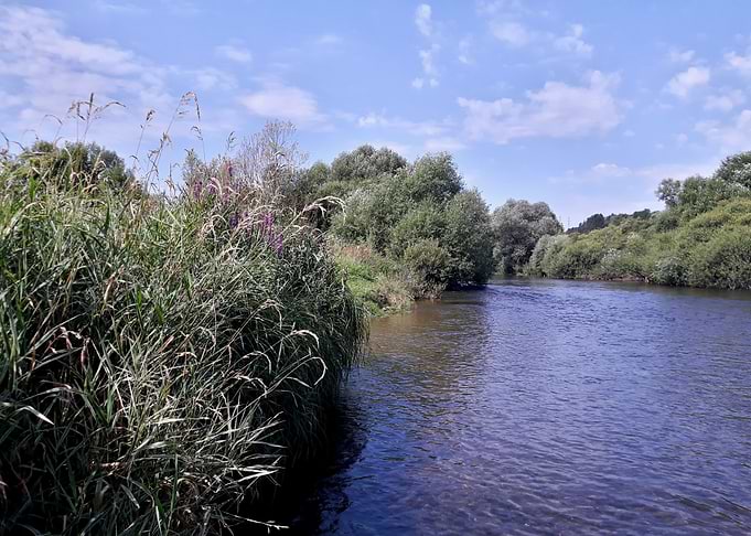 Blue river landscape