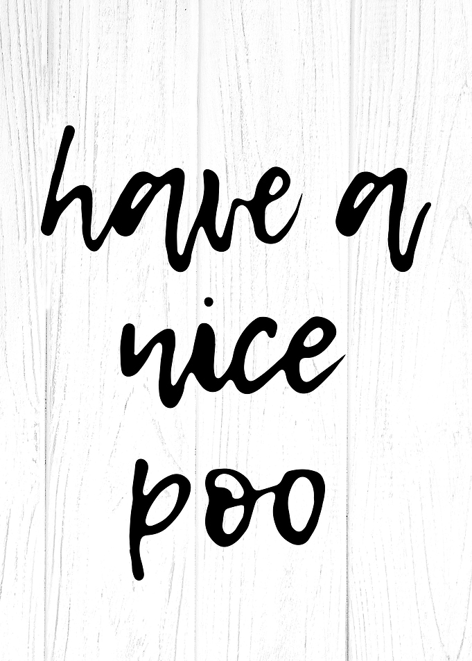 Hava A Nice Poo