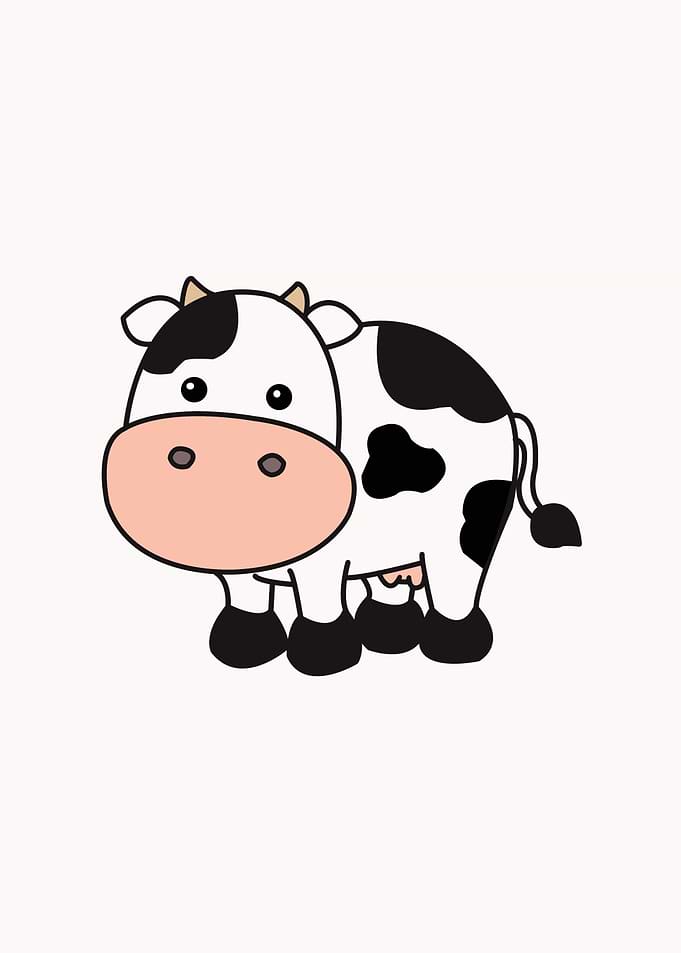cow baby cute animal