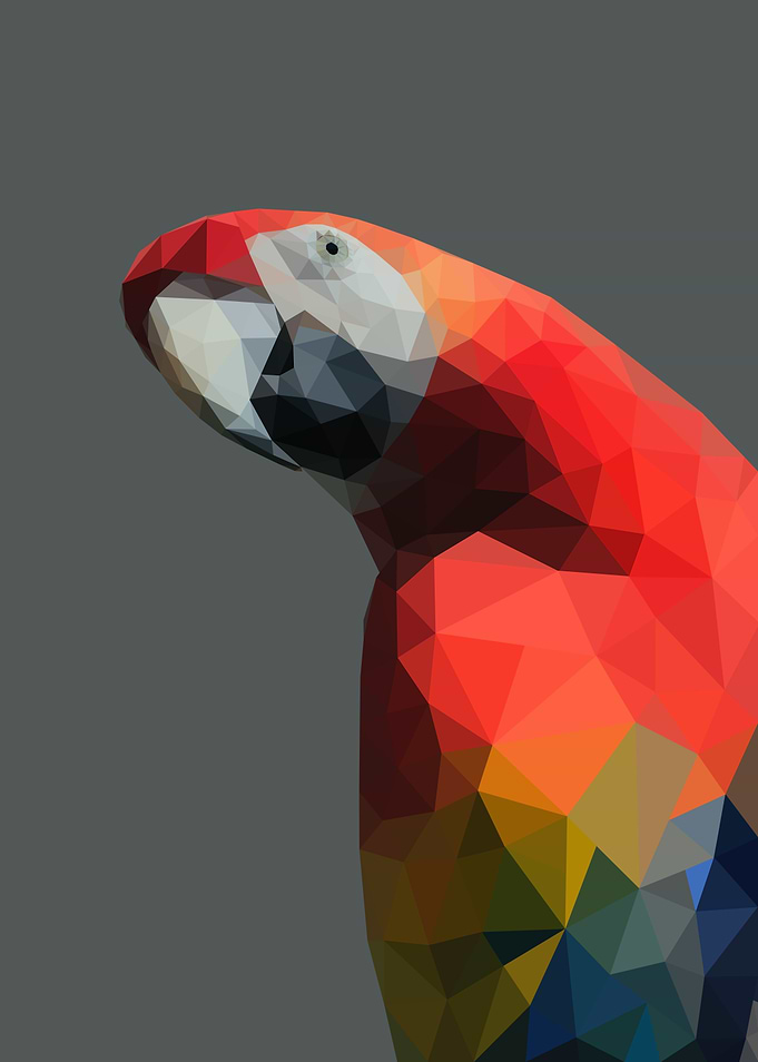 Scarlet macaw low poly