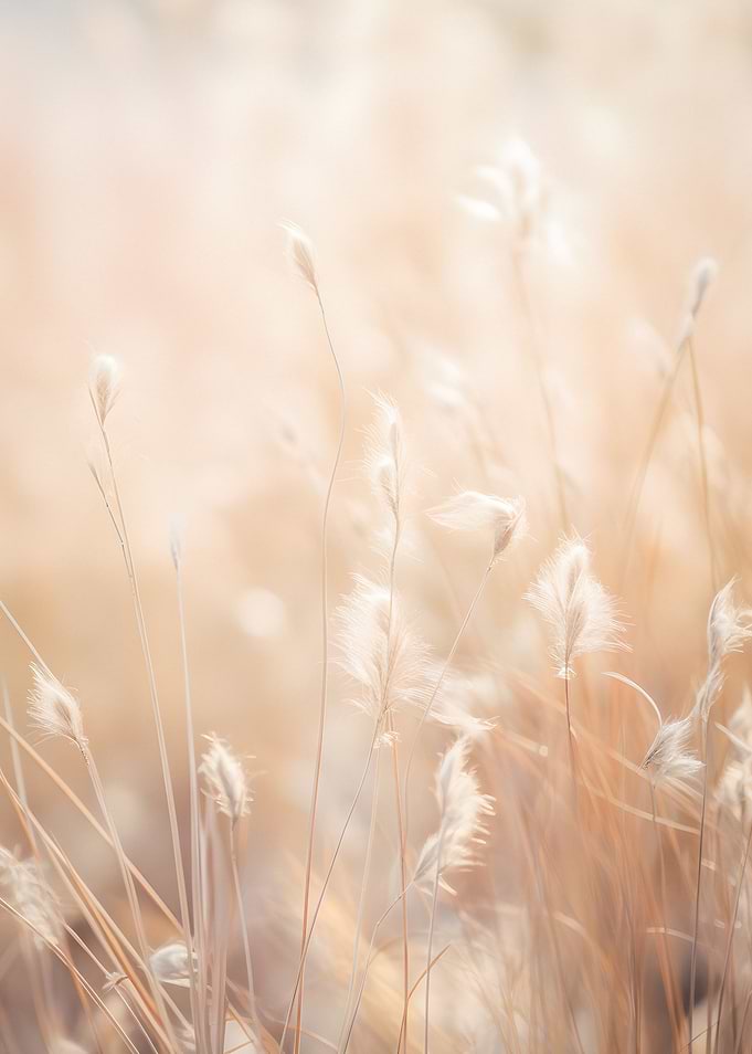 Breeze Whisper