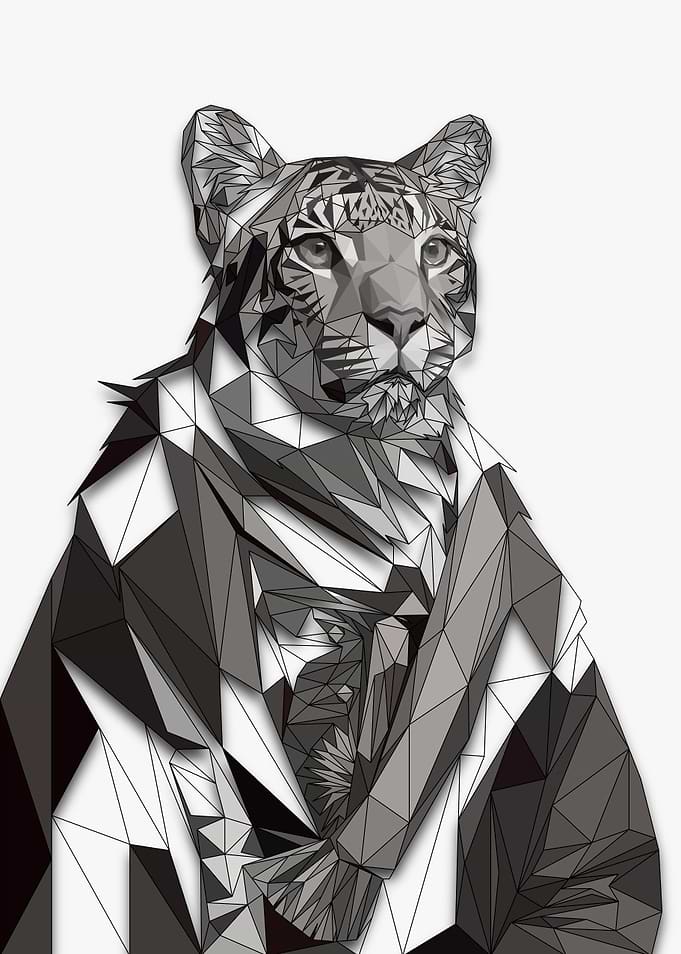 Tiger Poly Half Wireframe