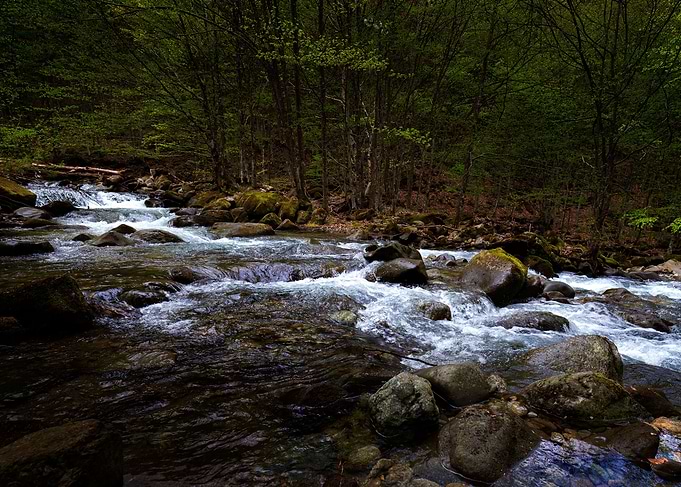 Beautiful mountain river