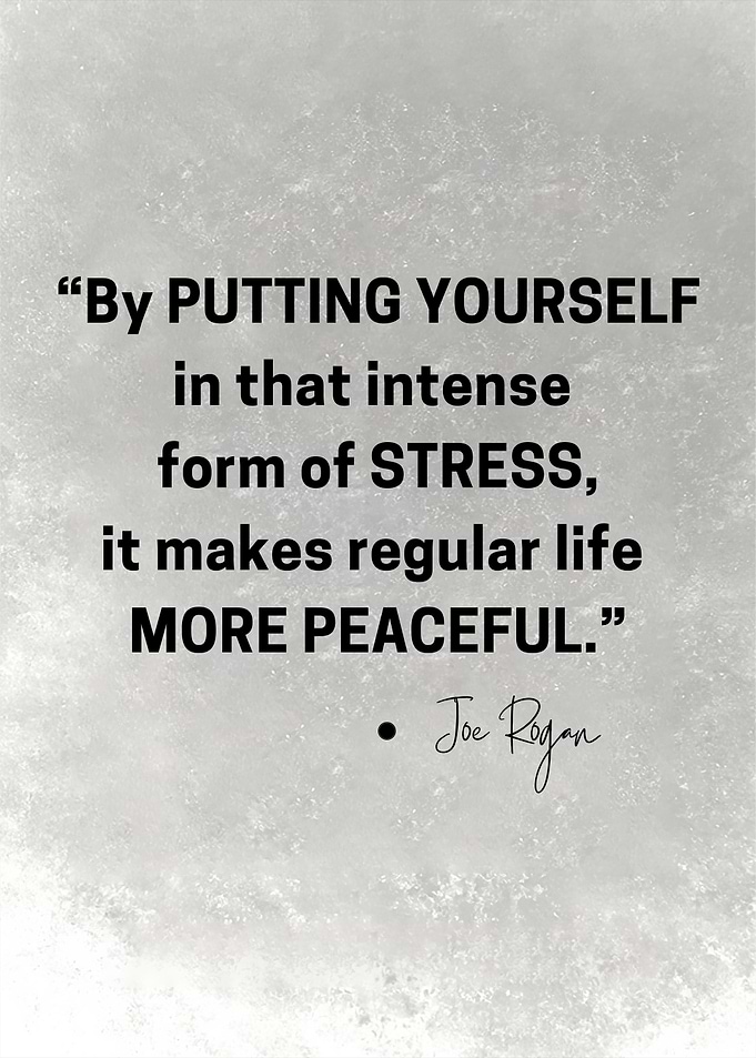 Joe Rogan Quotes 2