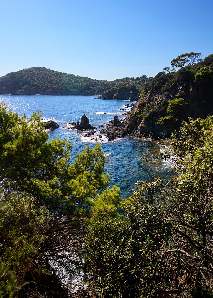 Majestic Coastal Beauty