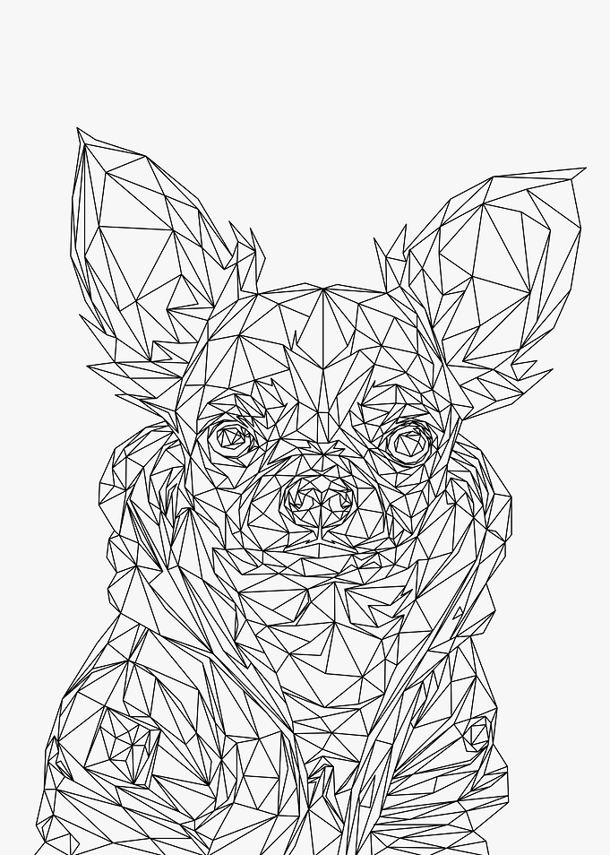 Dog Low Poly Wireframe