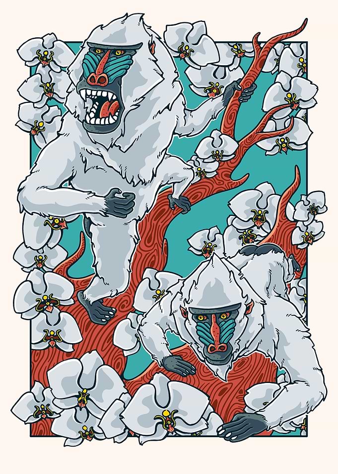 Orchid Mandrill