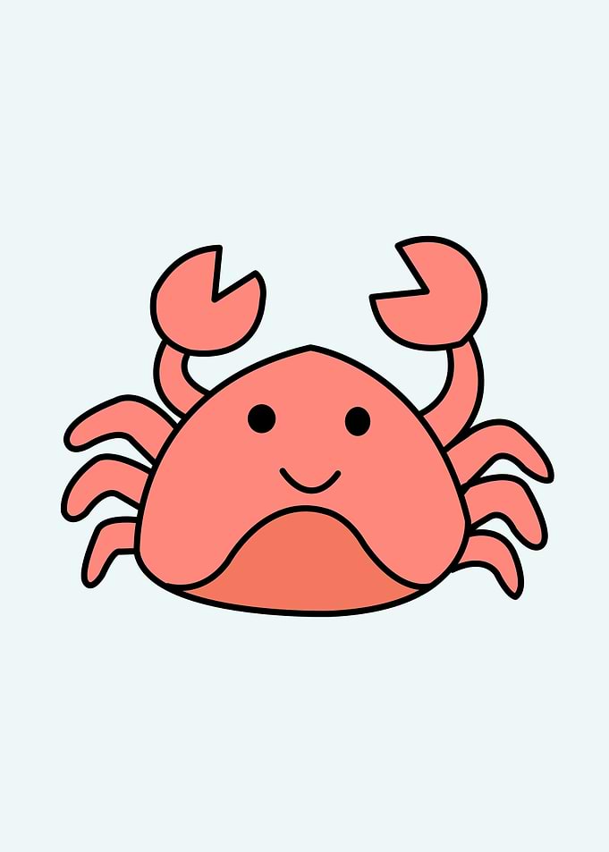 cute crab baby animal