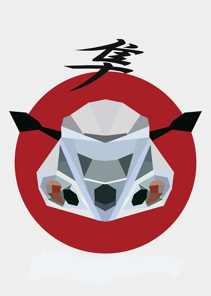 SUZUKI hayabusa
