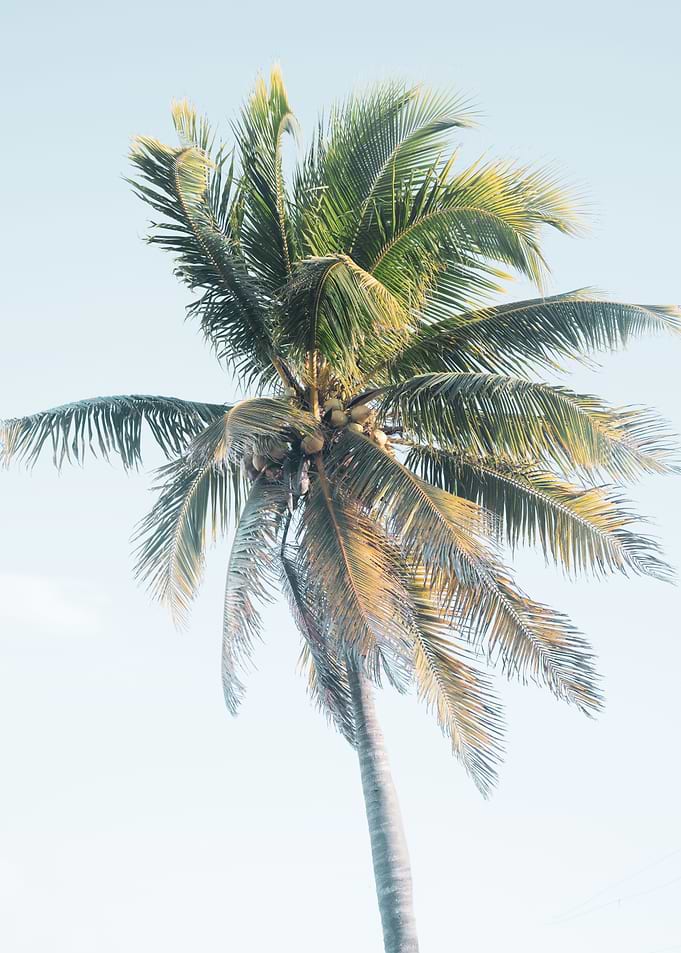 Palm Tree Beach Dream 4