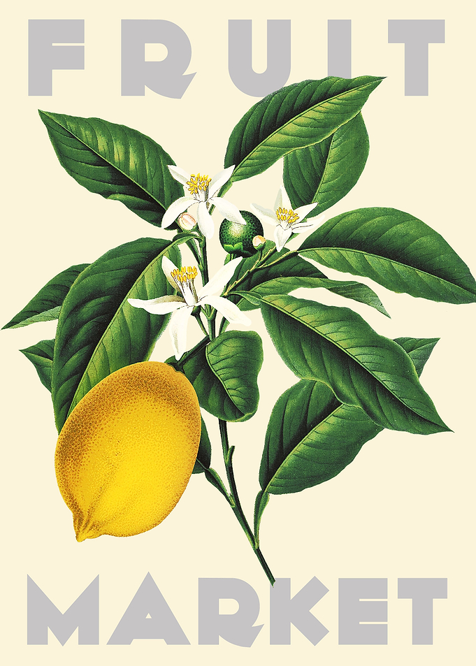 Lemon Fruit Market