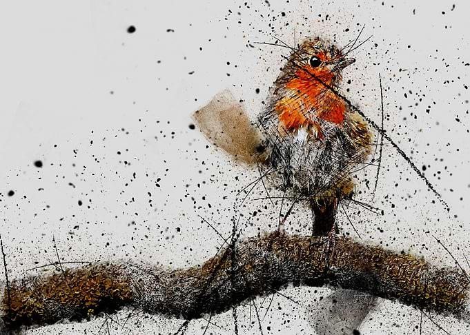 Bird 09