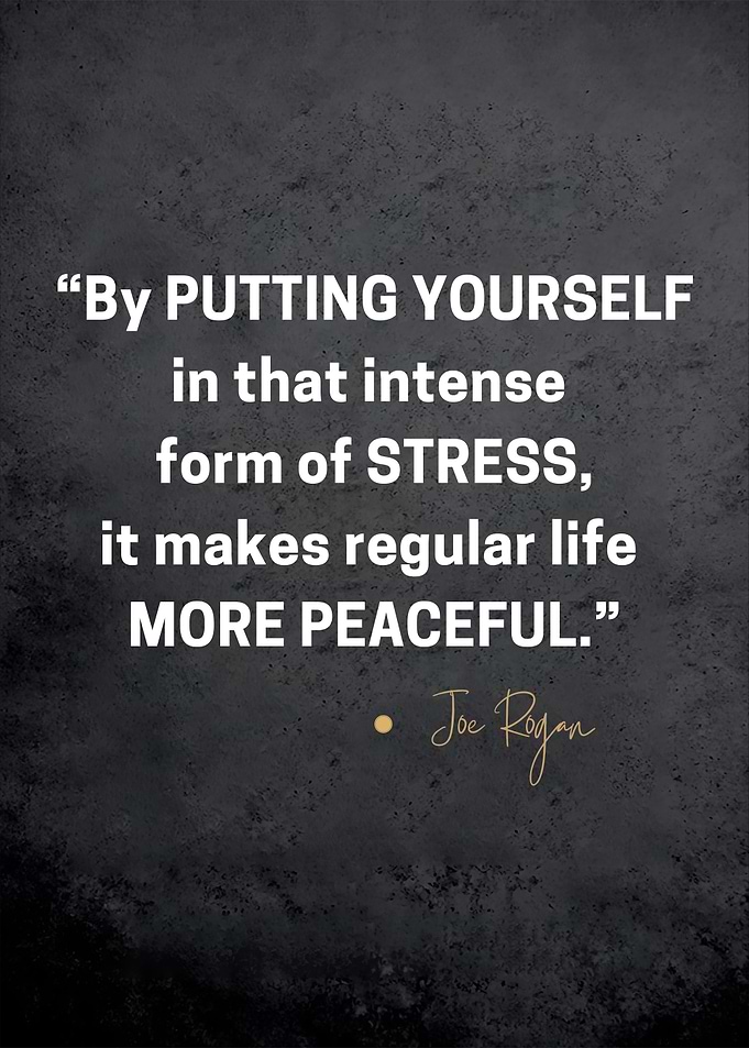 Joe Rogan Quotes