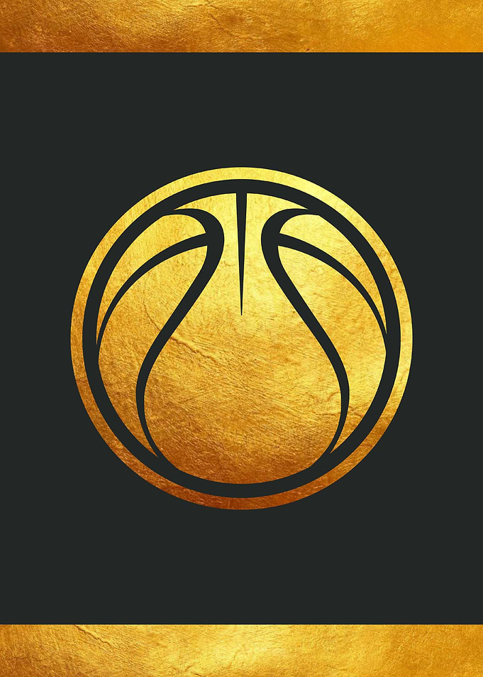 Basketball Icon