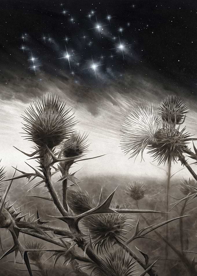 Pleiades