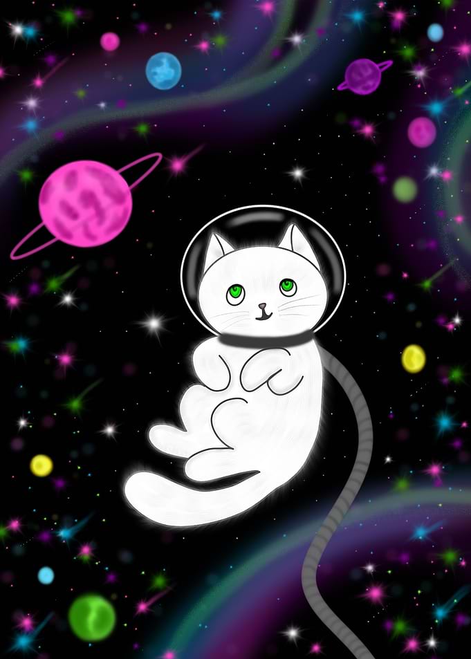 Space Cat