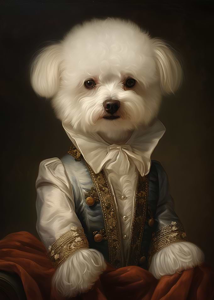 Bichon Frise dog