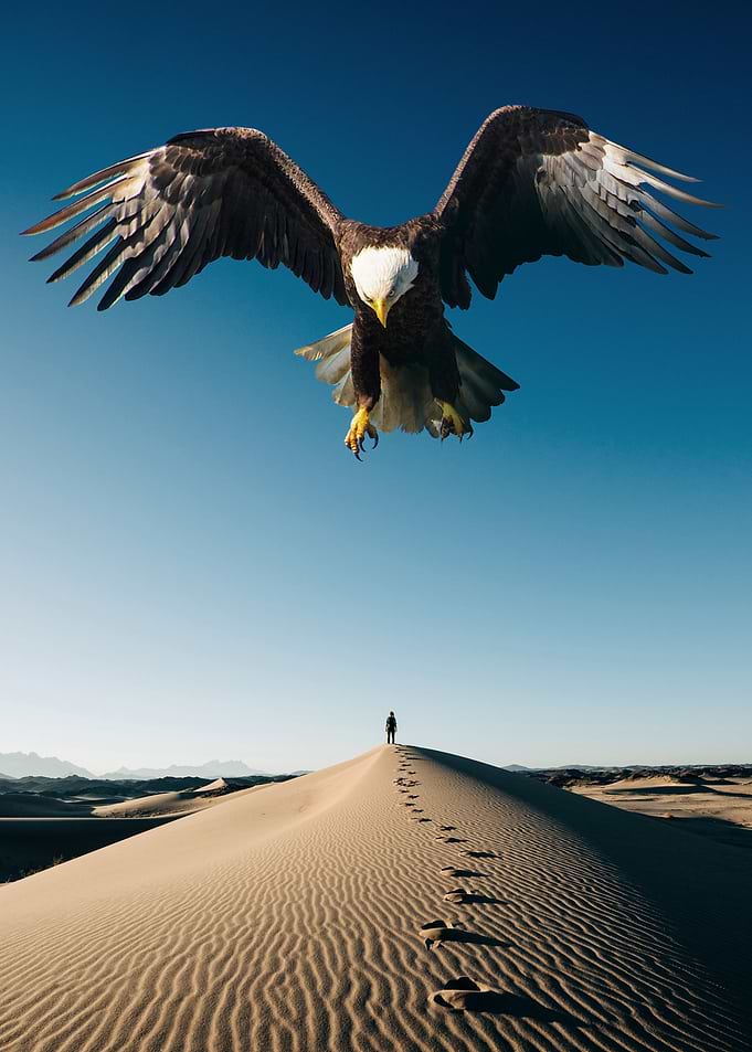 The Big Eagle