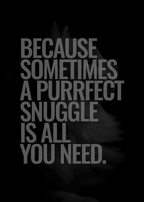 Purrfect Snuggle