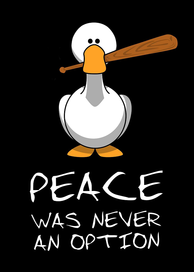 Funny Duck