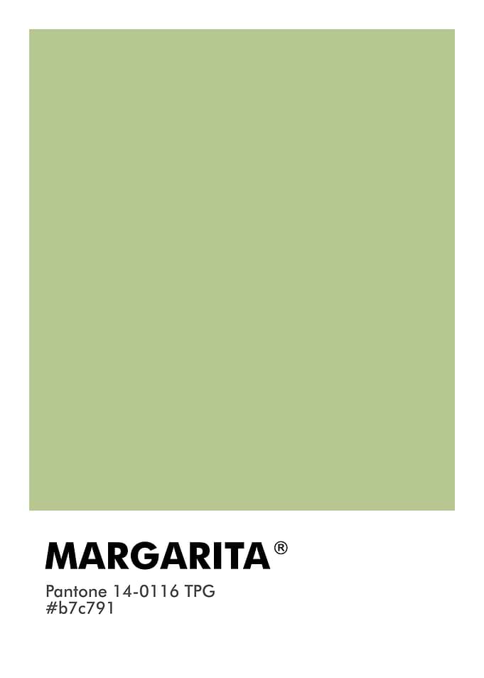 PANTONE MARGARITA