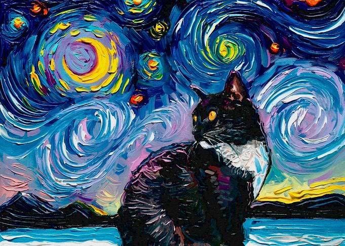 Starry Night Cat